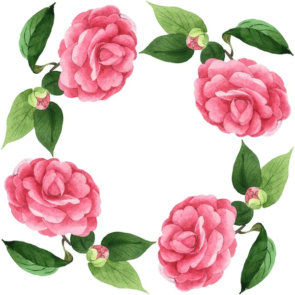 Rosafarbene Kamelienblüten mit grünen Blättern auf weißem Grund. Aquarell Hintergrundillustration Set. leerer Rahmen mit Kopierraum. — Stockfoto