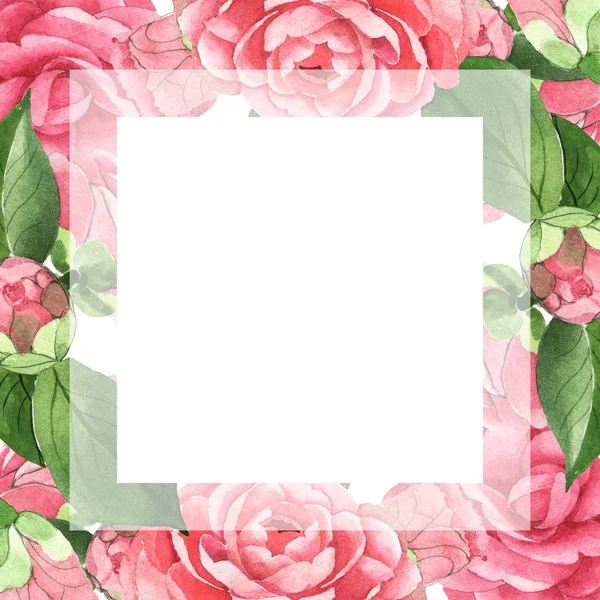 Pink camellia flowers with green leaves isolated on white. Watercolor background illustration set. Empty frame with copy space. — Stock Photo