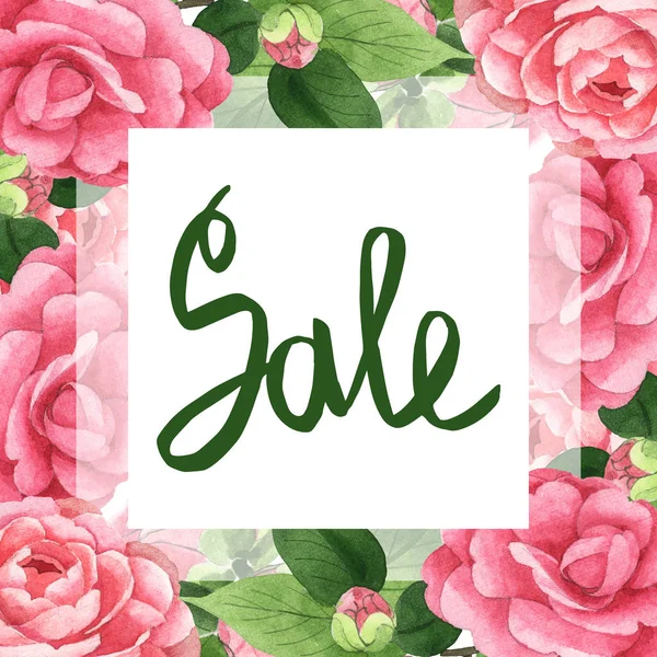 Rosafarbene Kamelienblüten mit grünen Blättern auf weißem Grund. Aquarell Hintergrundillustration Set. Rahmen mit Verkauf Schriftzug. — Stockfoto