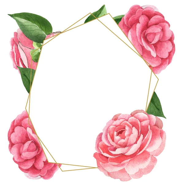 Fiori di camelia rosa con foglie verdi isolate su bianco. Acquerello sfondo illustrazione set. Cornice vuota con spazio di copia . — Foto stock