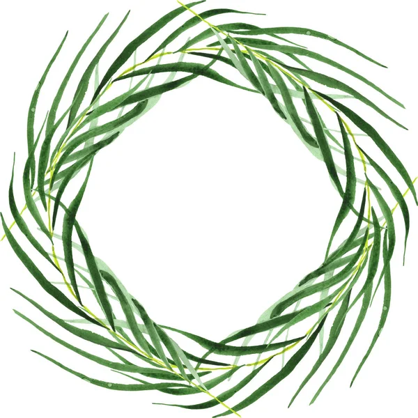 Екзотичні тропічні листя гавайської зеленої пальми ізольовані на білому. Набір акварельних фонів. Рамка з пробілом для копіювання . — стокове фото