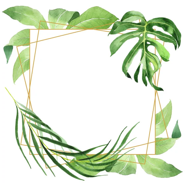 Exotische tropische hawaiianische grüne Palmenblätter isoliert auf weiß. Aquarell Hintergrund Set vorhanden. Rahmen mit Kopierraum. — Stockfoto
