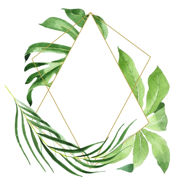 Folhas de palmeira exóticas tropicais havaianas verdes isoladas em branco. Conjunto de fundo aquarela. Quadro com espaço de cópia . — Fotografia de Stock