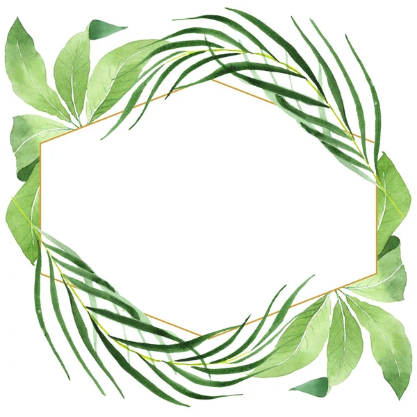 Folhas de palmeira exóticas tropicais havaianas verdes isoladas em branco. Conjunto de fundo aquarela. Quadro com espaço de cópia . — Fotografia de Stock
