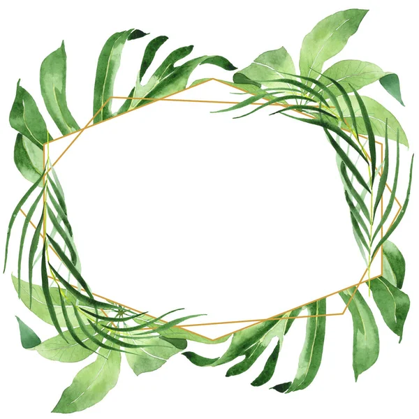 Esotiche foglie tropicali di palma verde hawaiano isolate su bianco. Set sfondo acquerello. Telaio con spazio di copia . — Foto stock