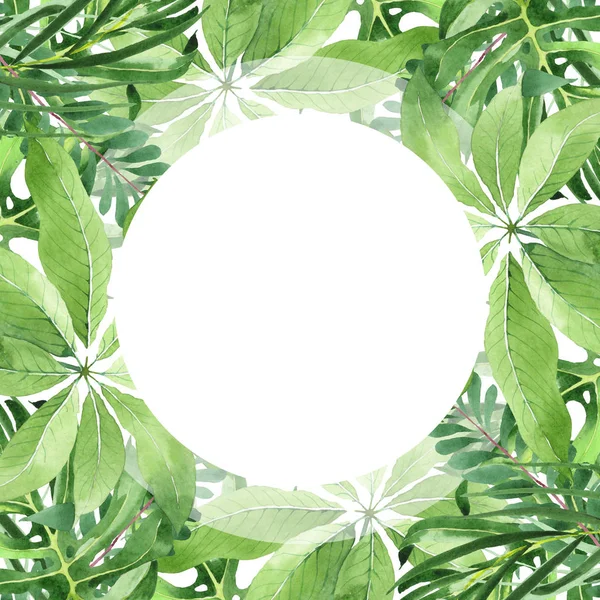 Feuilles exotiques de palmier vert hawaïen tropical isolées sur blanc. Ensemble de fond aquarelle. Cadre avec espace de copie . — Photo de stock