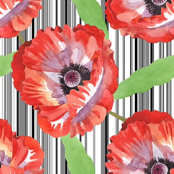 Rote Mohnblumen Aquarell Illustrationsset. nahtloses Hintergrundmuster. — Stockfoto