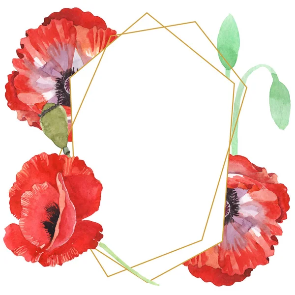 Rote Mohnblumen isoliert auf weiß. Aquarell Hintergrundillustration Set. Rahmen mit Blumen und Kopierraum. — Stockfoto