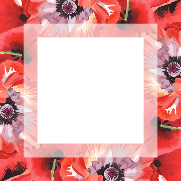 Rote Mohnblumen isoliert auf weiß. Aquarell Hintergrundillustration Set. Rahmen mit Blumen und Kopierraum. — Stockfoto