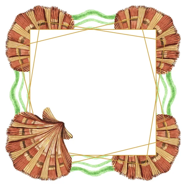 Тропические ракушки с зелеными водорослями, изолированными на белом. Набор акварельных фонов. Рамка с копировальным пространством . — стоковое фото