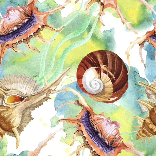 Seamless background pattern. Tropical seashells with green seaweed. Watercolor background illustration set. — Stock Photo