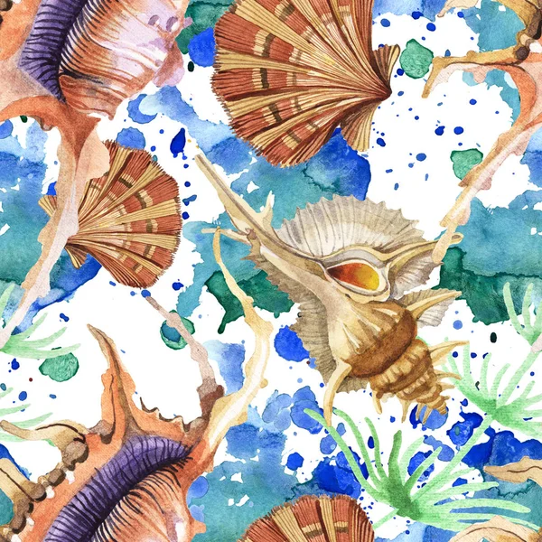 Seamless background pattern. Tropical seashells with green seaweed. Watercolor background illustration set. — Stock Photo