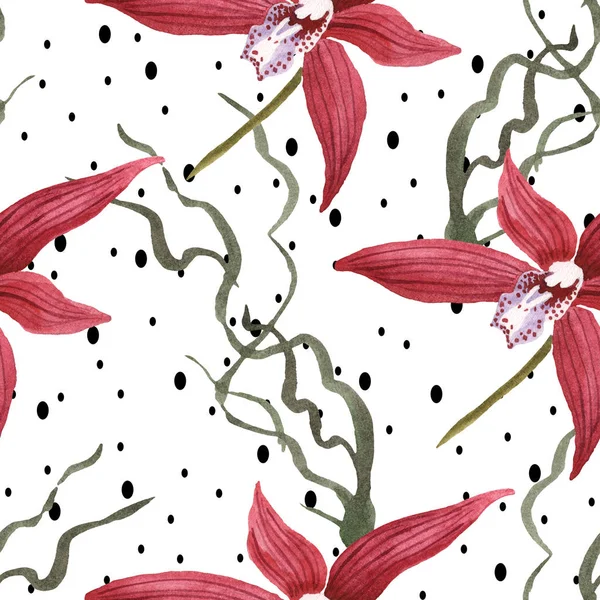 Marsala-Orchideen mit grünen Blättern auf gepunktetem Hintergrund. Aquarell-Illustrationsset vorhanden. nahtloses Hintergrundmuster. — Stockfoto