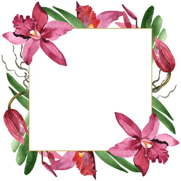 Marsala orchids with green leaves isolated on white. Watercolor background illustration set. Frame border ornament with copy space. — Stock Photo