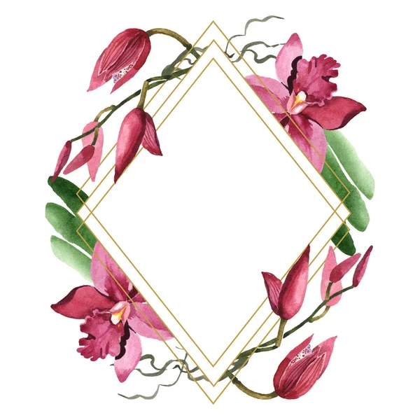 Marsala orchids with green leaves isolated on white. Watercolor background illustration set. Frame border ornament with copy space. — Stock Photo