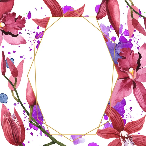 Marsala orchids with green leaves isolated on white. Watercolor background illustration set. Frame border ornament with copy space. — Stock Photo