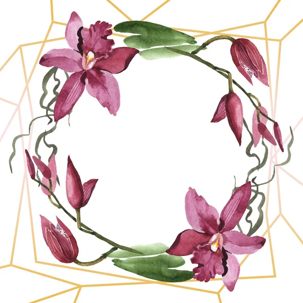 Orquídeas de Marsala con hojas verdes aisladas en blanco. Conjunto de ilustración de fondo acuarela. Marco ornamento borde con espacio de copia . - foto de stock