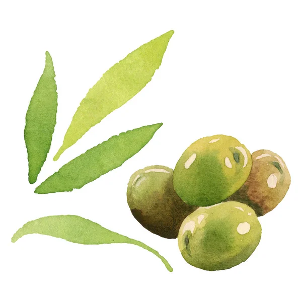 Свежие оливки с зелеными листьями выделены на белом акварельном фоне элементов иллюстрации — стоковое фото