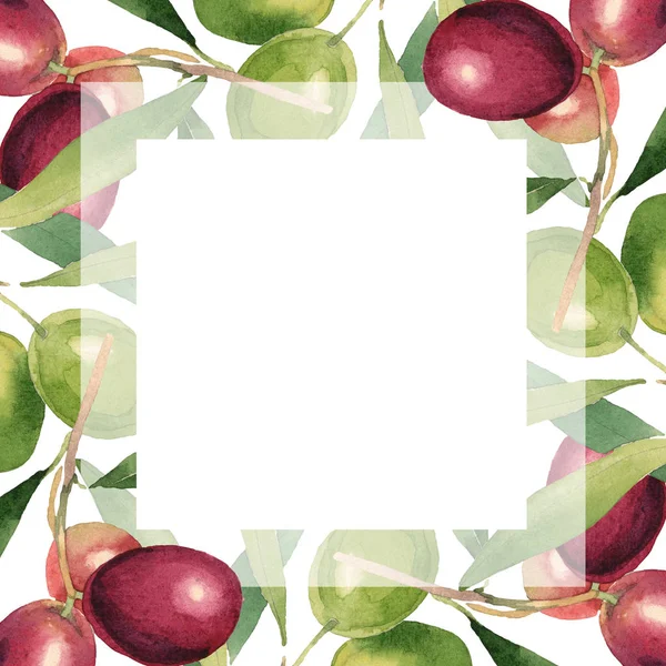 Свежие оливки с зелеными листьями выделены на белом акварельном фоне иллюстрации. Украшение рамы с копировальным пространством . — стоковое фото