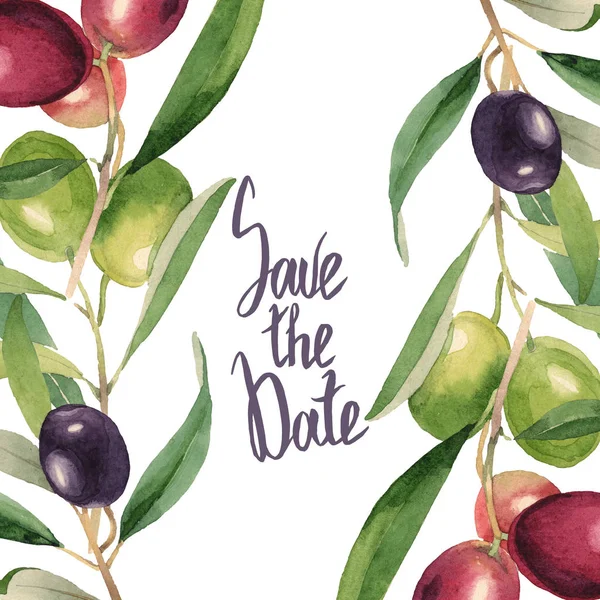 Fresh olives with green leaves isolated on white watercolor background illustration. Frame ornament with save the date lettering. — Stock Photo