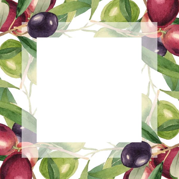 Свежие оливки с зелеными листьями выделены на белом акварельном фоне иллюстрации. Украшение рамы с копировальным пространством . — стоковое фото