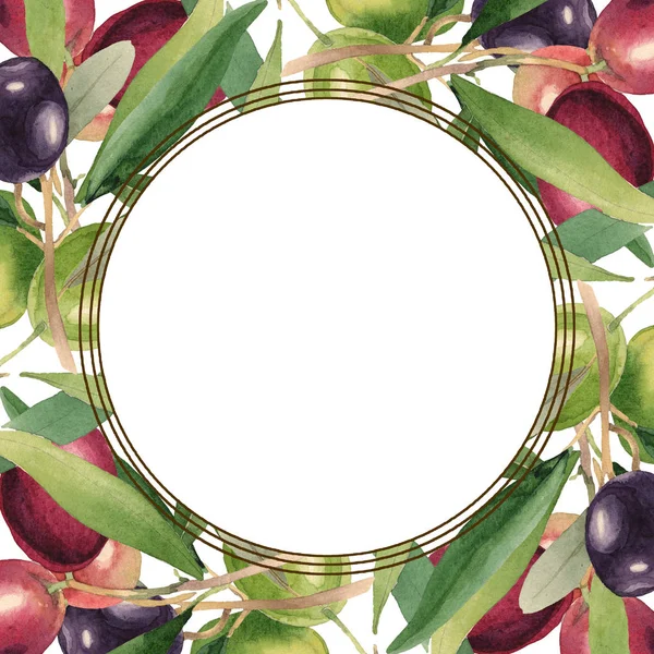 Frische Oliven mit grünen Blättern isoliert auf weißem Aquarell Hintergrund Illustration. Rahmenornament mit Kopierraum. — Stockfoto