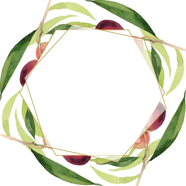 Frische Oliven mit grünen Blättern isoliert auf weißem Aquarell Hintergrund Illustration. Rahmenornament mit Kopierraum. — Stockfoto