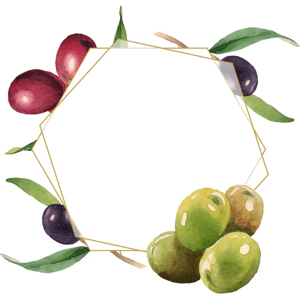 Свіжі оливки з зеленим листям ізольовані на білому акварельному фоні ілюстрації. Орнамент рамки з пробілом для копіювання . — стокове фото