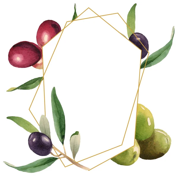 Fresh olives with green leaves isolated on white watercolor background illustration. Frame ornament with copy space. — Stock Photo