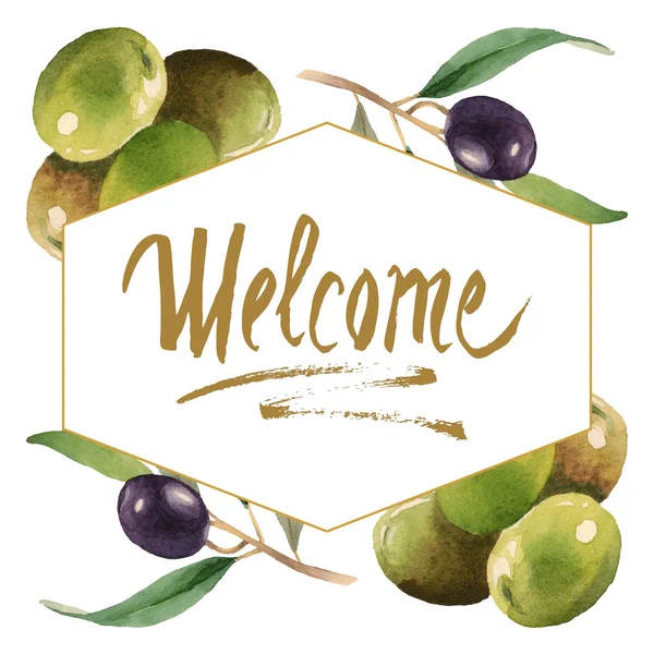 Fresh olives with green leaves isolated on white watercolor background illustration. Frame ornament with welcome lettering. — Stock Photo