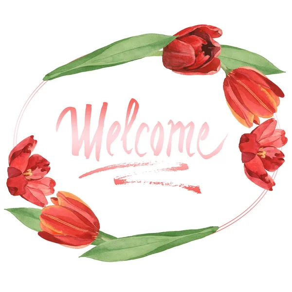 Tulipes rouges aux feuilles vertes isolées sur blanc. Ensemble d'illustration de fond aquarelle. Cadre avec fleurs et inscription de bienvenue . — Photo de stock