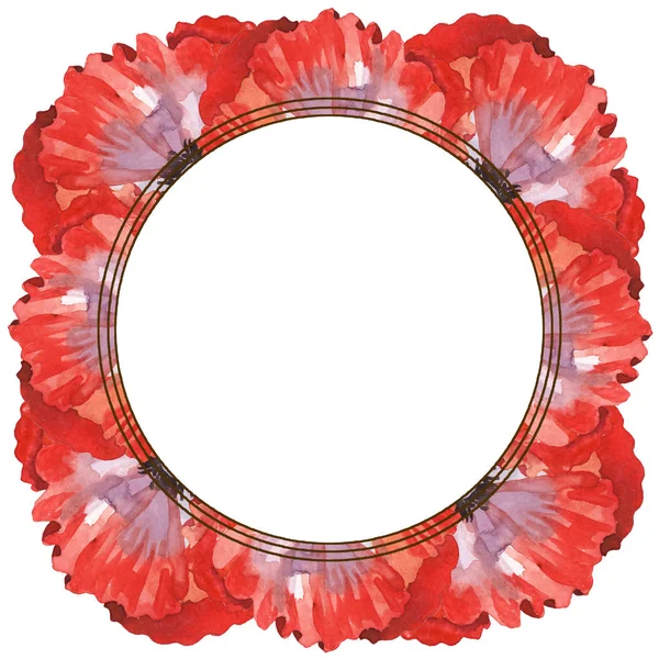 Coquelicots rouges isolés sur blanc. Ensemble d'illustration de fond aquarelle. Cadre avec fleurs et espace de copie . — Photo de stock