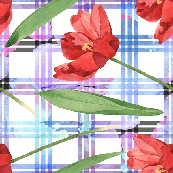 Rote Tulpen mit grünen Blättern auf weiß kariertem Hintergrund. Aquarell-Illustrationsset vorhanden. nahtloses Hintergrundmuster. — Stockfoto