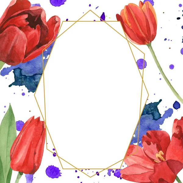 Red tulips with green leaves illustration isolated on white. Frame ornament with blue and purple paint spills and copy space. — Stock Photo