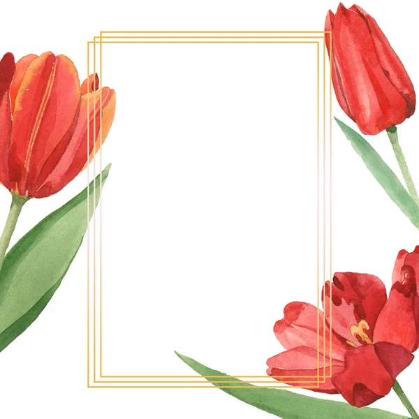 Red tulips with green leaves illustration isolated on white. Frame ornament with copy space. — Stock Photo