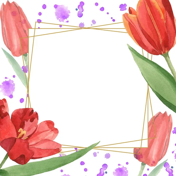Tulipes rouges avec des feuilles vertes illustrées isolées sur blanc. Ornement de cadre avec déversements de peinture violette et espace de copie . — Photo de stock
