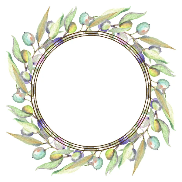 Olivenzweige mit grünen Früchten und Blättern isoliert auf weiß. Aquarell Hintergrundillustration Set. Rahmenornament mit Kopierraum. — Stockfoto