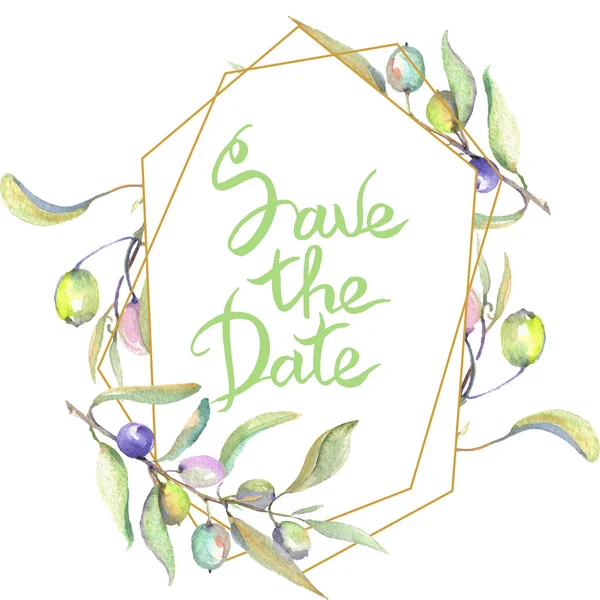 Olive branches with green fruit and leaves isolated on white. Watercolor background illustration set. Frame ornament with save the date lettering. — Stock Photo
