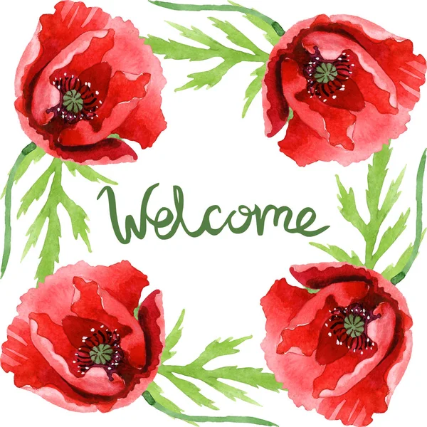 Red poppies with green leaves isolated on white. Watercolor background illustration set. Frame ornament with welcome lettering. — Stock Photo
