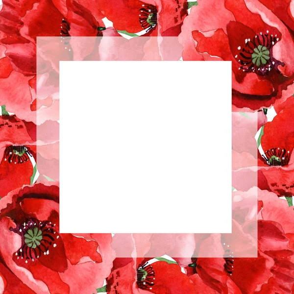 Coquelicots rouges isolés sur blanc. Ensemble d'illustration de fond aquarelle. Ornement de cadre avec espace de copie . — Photo de stock