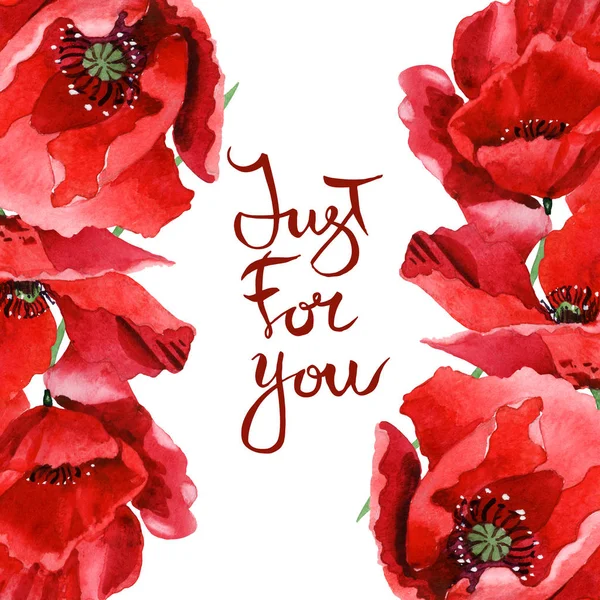 Red poppies isolated on white. Watercolor background illustration set. Frame ornament with just for you lettering. — Stock Photo
