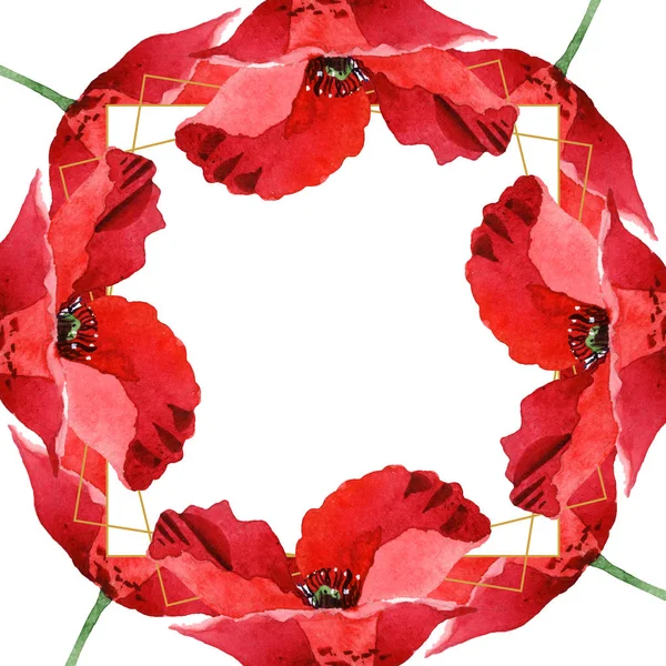Rote Mohnblumen isoliert auf weiß. Aquarell Hintergrundillustration Set. Rahmenornament mit Kopierraum. — Stockfoto