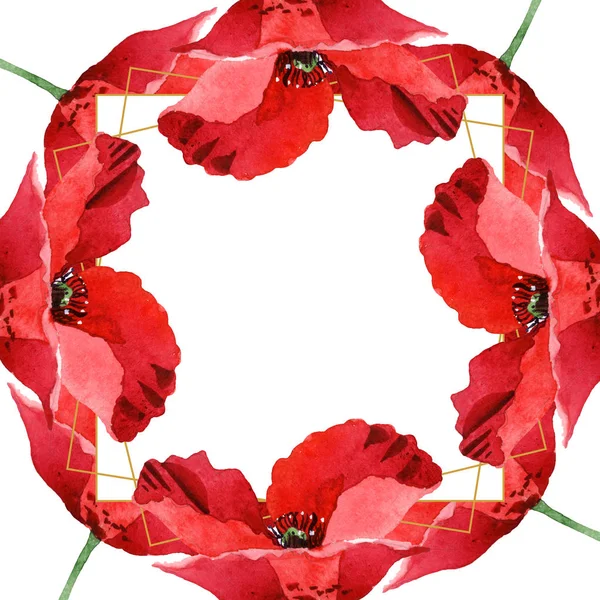 Coquelicots rouges isolés sur blanc. Ensemble d'illustration de fond aquarelle. Ornement de cadre avec espace de copie . — Photo de stock
