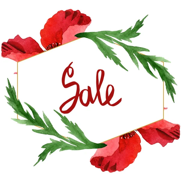 Red poppies with green leaves isolated on white. Watercolor background illustration set. Frame ornament with sale lettering. — Stock Photo