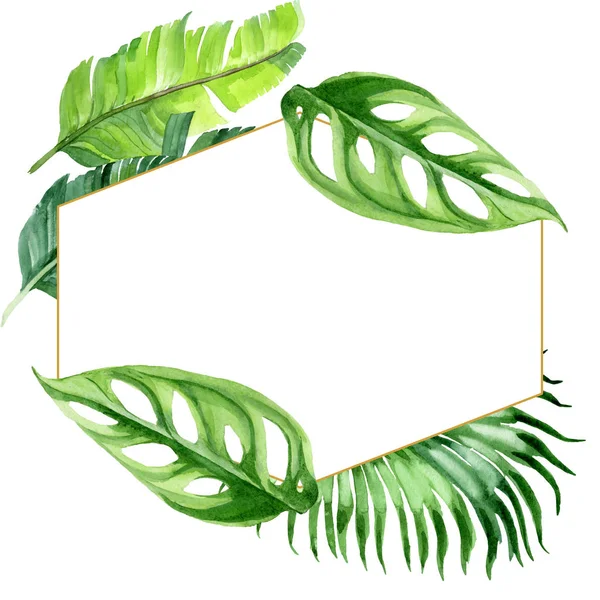 Hojas exóticas de palmera hawaiana tropical aisladas en blanco. Conjunto de ilustración de fondo acuarela. Adorno del marco con espacio de copia . - foto de stock