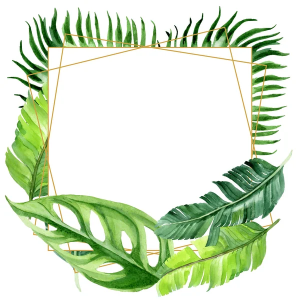 Hojas exóticas de palmera hawaiana tropical aisladas en blanco. Conjunto de ilustración de fondo acuarela. Adorno del marco con espacio de copia . - foto de stock