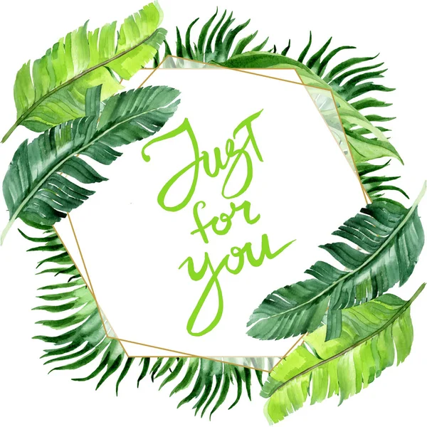 Exotic tropical hawaiian palm tree leaves isolated on white. Watercolor background illustration set. Frame ornament with just for you lettering. — Stock Photo