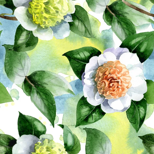Fleurs de camélia blanc avec feuilles vertes aquarelle ensemble d'illustration. Modèle de fond sans couture . — Photo de stock