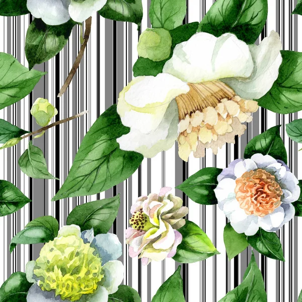 Білі квіти камелії з зеленим листям акварельний ілюстраційний набір. Безшовний візерунок тла . — стокове фото