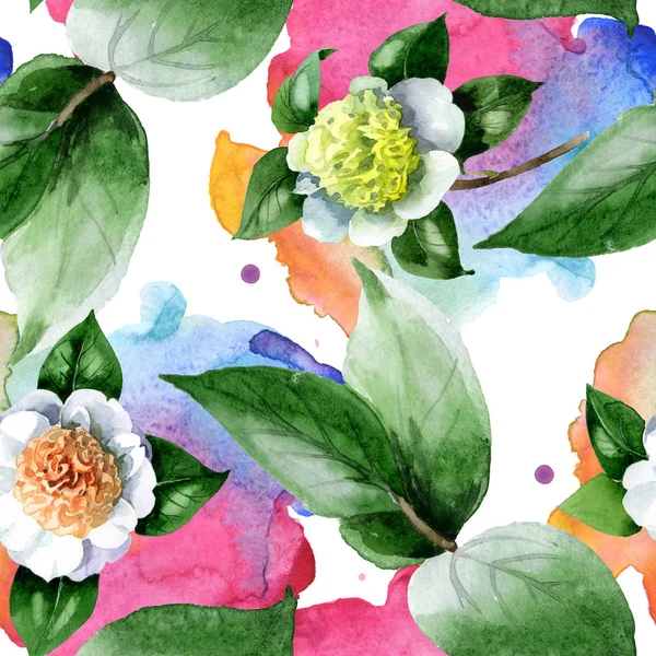 Fleurs de camélia blanc avec feuilles vertes aquarelle ensemble d'illustration. Modèle de fond sans couture . — Photo de stock